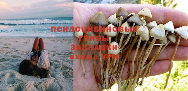 марки nbome Гусь-Хрустальный