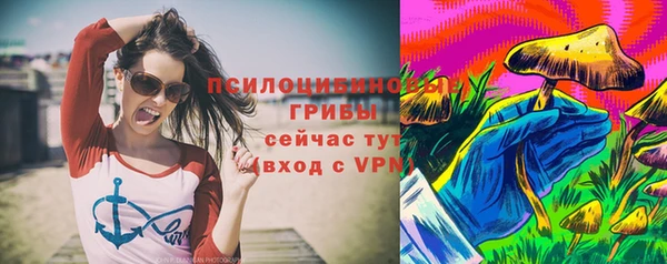 каннабис Гусев