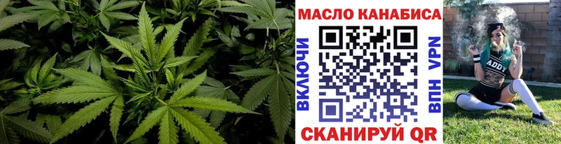 Купить где  Красноармейск  ТГК Wax 
