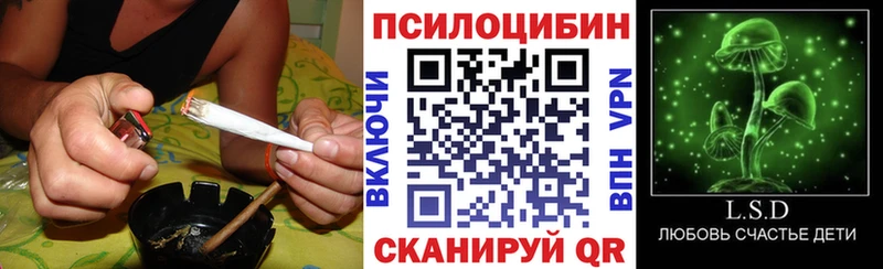 Галлюциногенные грибы MAGIC MUSHROOMS  Купить где  Красноармейск 